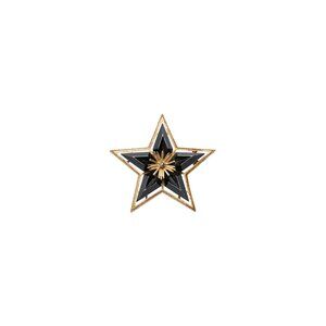 Charles Frederick Worth (France) Vintage Morning Star Brooch